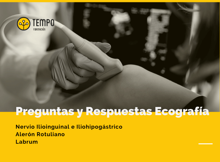 preguntas-y-respuestas-ecografia-5